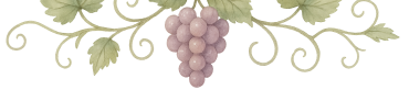 wine_top2